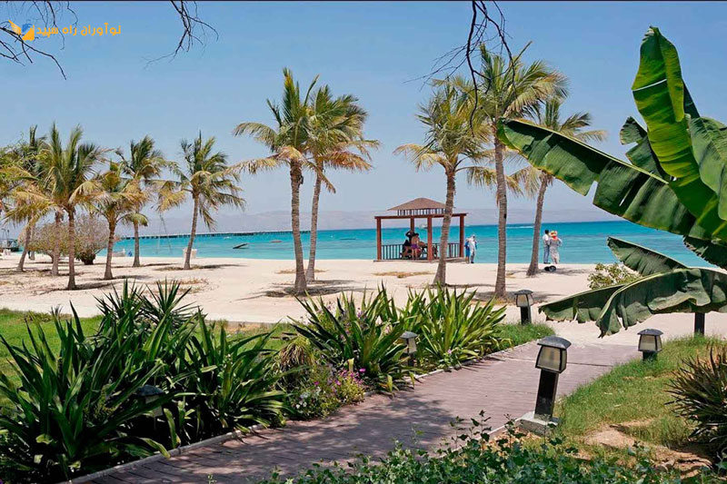 تور کیش