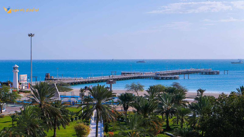 تور کیش