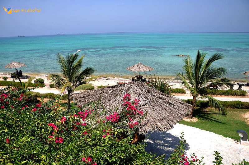 تور کیش